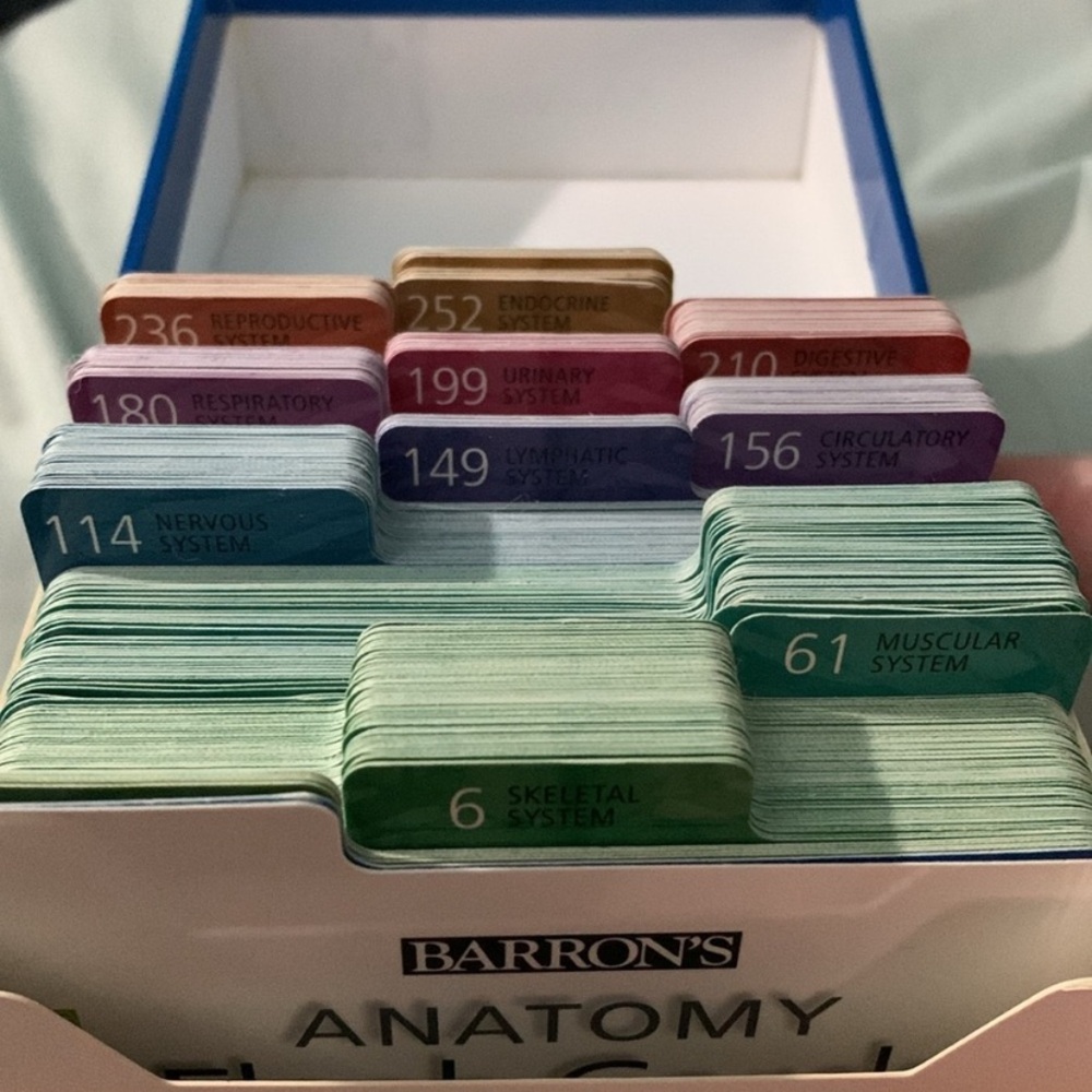 Anatomy study flash cards 🃏 and CD Module - Picture 2 of 5